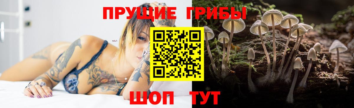 Богородск  Галлюциногенные грибы Magic Shrooms  где можно купить   Вход с VPN 